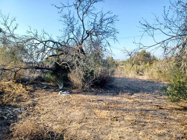 plot for sale in Boliqueime