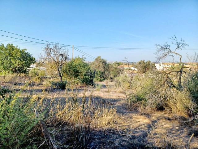 plot for sale in Boliqueime