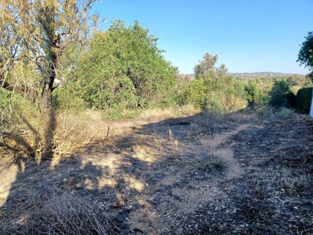 plot for sale in Boliqueime