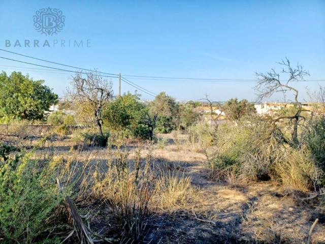 plot for sale in Boliqueime
