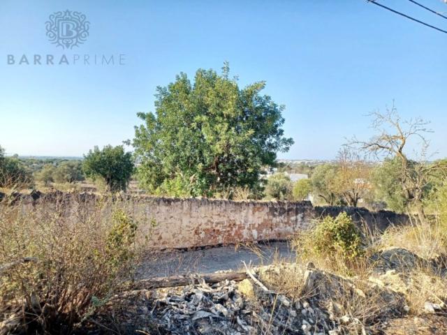 plot for sale in Boliqueime