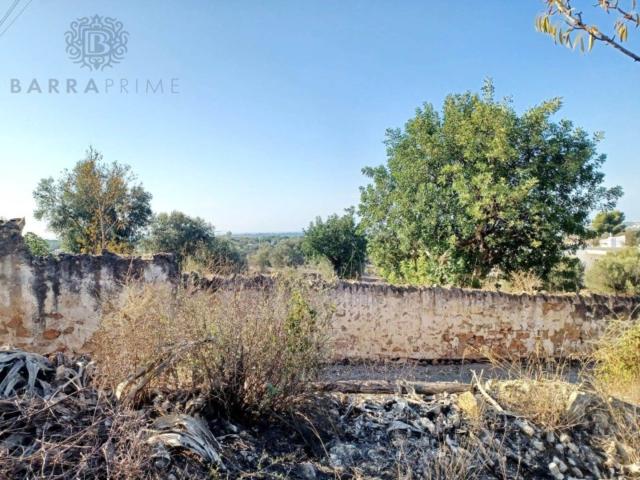 plot for sale in Boliqueime