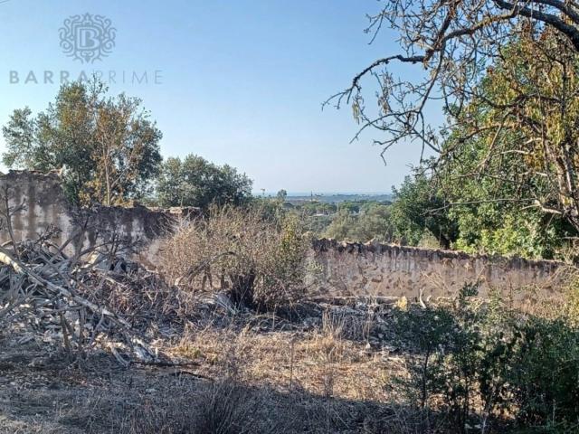 plot for sale in Boliqueime