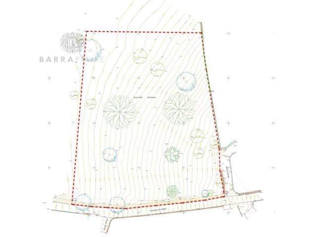 plot for sale in Boliqueime