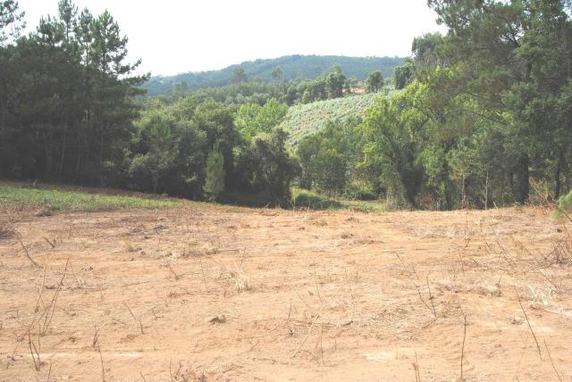 plot for sale in Benedita