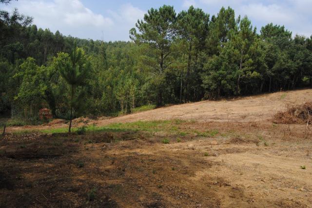 plot for sale in Benedita