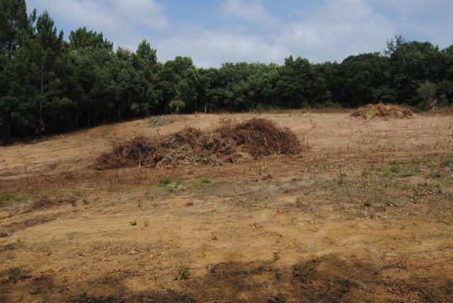plot for sale in Benedita