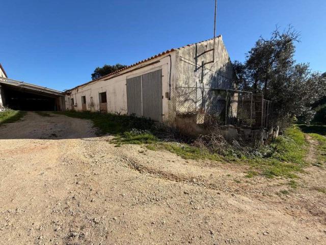 5 bedroom villa in Caldas da Rainha