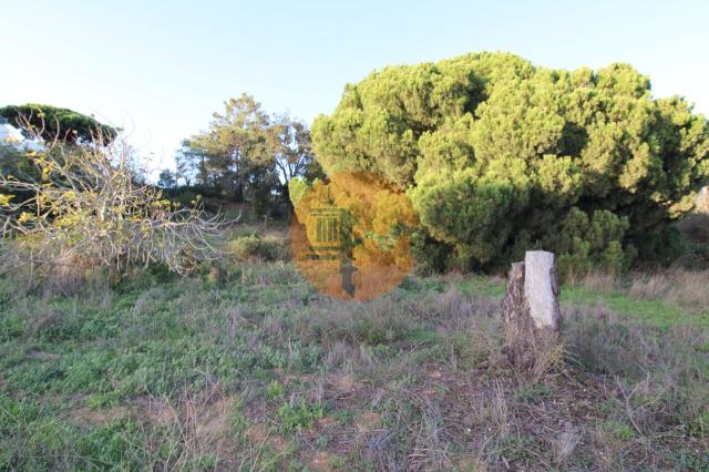 Land for sale in Montenegro