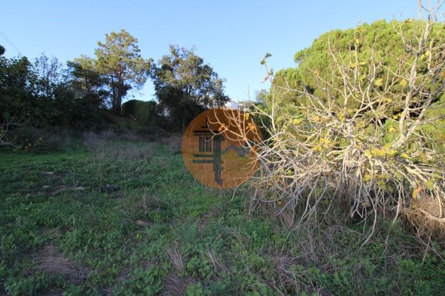 Land for sale in Montenegro