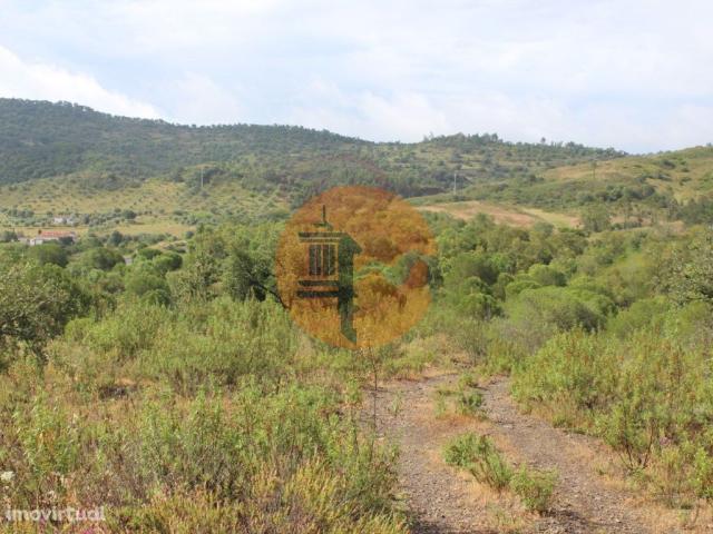 Farm for sale in São Bartolomeu de Messines