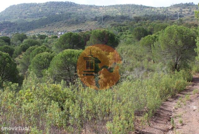 Farm for sale in São Bartolomeu de Messines