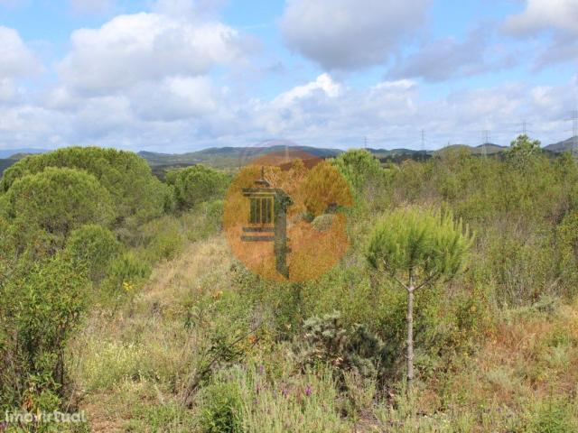 Farm for sale in São Bartolomeu de Messines