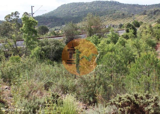 Farm for sale in São Bartolomeu de Messines