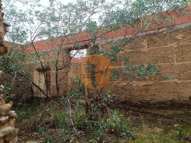 1 bedroom Villa in Santana de Cambas