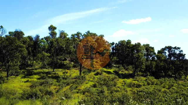 Land for sale in Odeleite