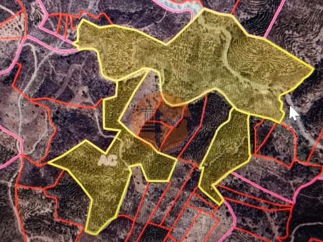 Land for sale in Azinhal