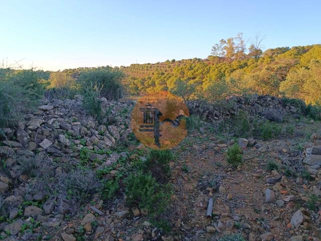 Land for sale in Odeleite