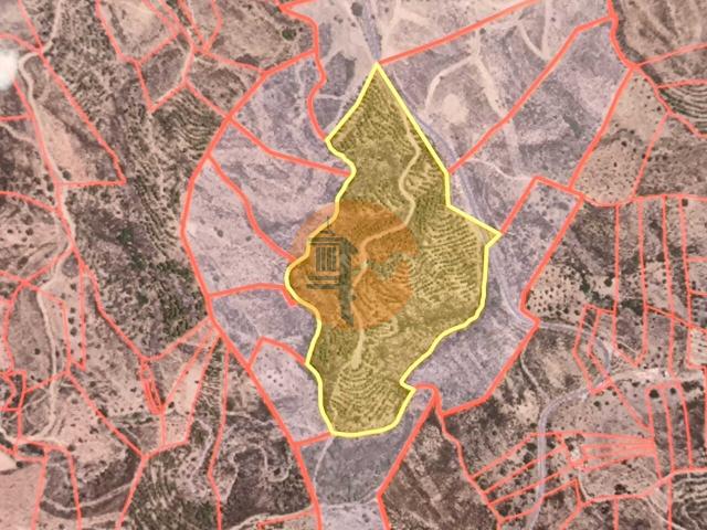 Land for sale in Azinhal