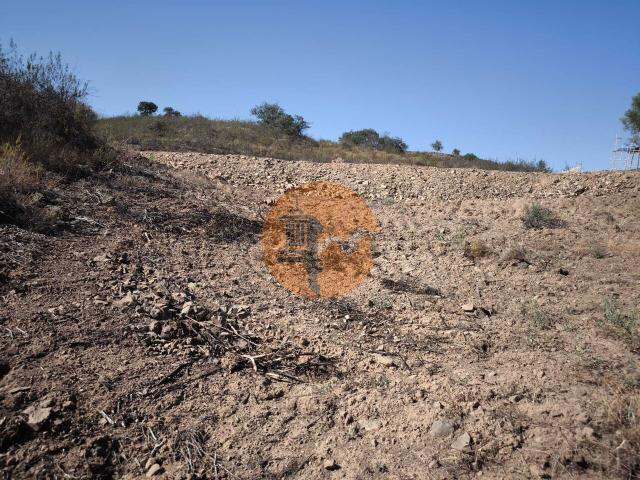 Land for sale in Azinhal