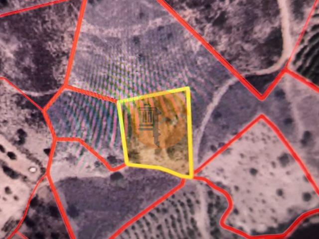 Land for sale in Azinhal