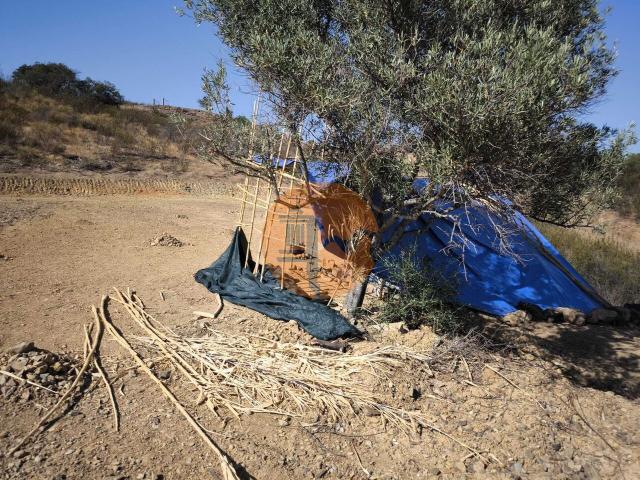 Land for sale in Azinhal