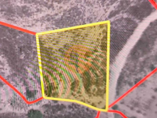 Land for sale in Azinhal