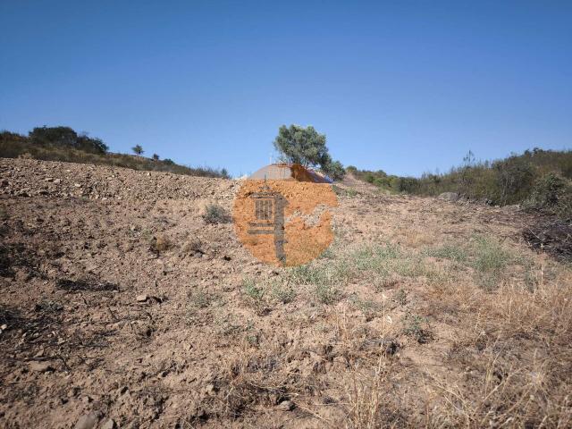 Land for sale in Azinhal