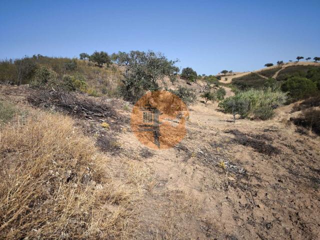 Land for sale in Azinhal