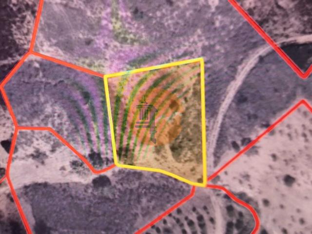 Land for sale in Azinhal