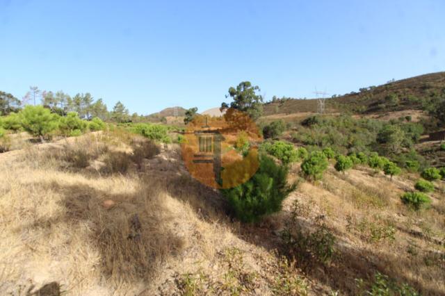 Land for sale in São Clemente