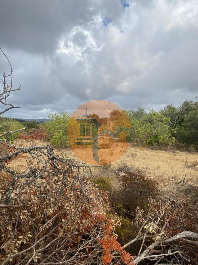 Land for sale in São Clemente