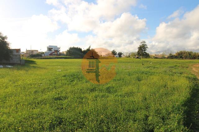 Land for sale in Quelfes