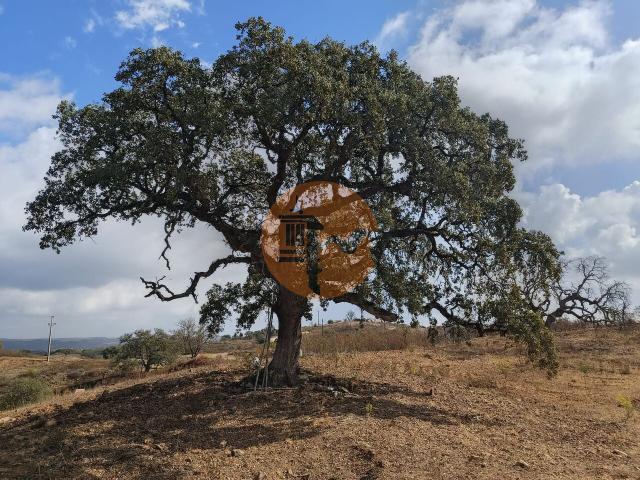 Land for sale in Azinhal