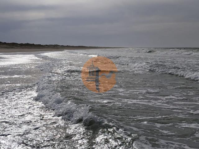 Land for sale in Azinhal