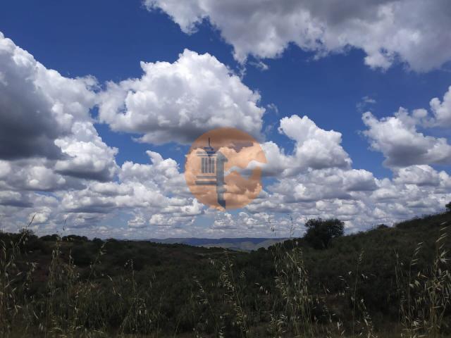 Land for sale in Azinhal