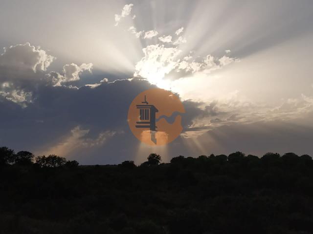 Land for sale in Azinhal