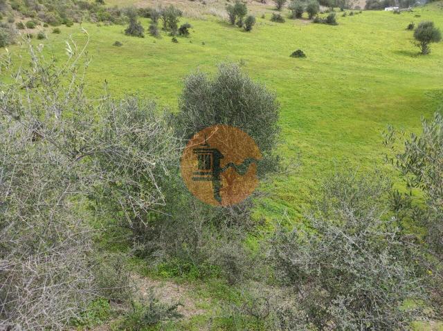 Land for sale in Castro Marim