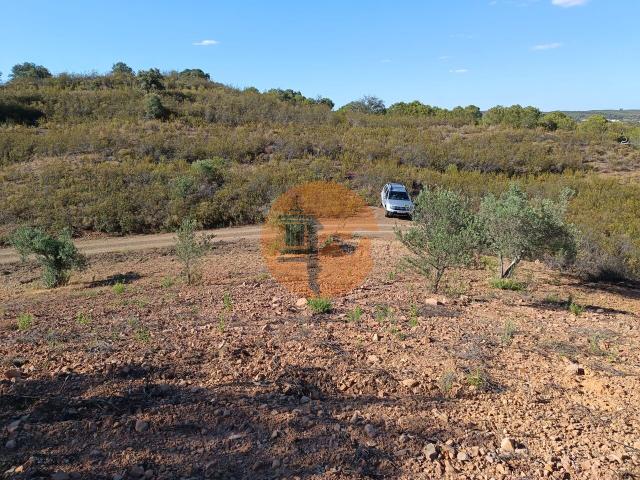 Land for sale in Azinhal