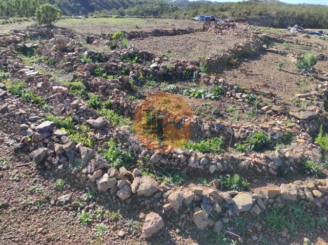 Land for sale in Azinhal