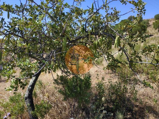 Land for sale in Castro Marim