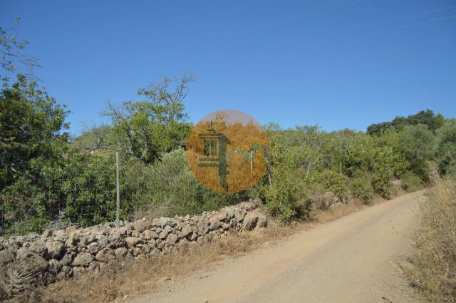 Land for sale in Santa Catarina da Fonte do Bispo
