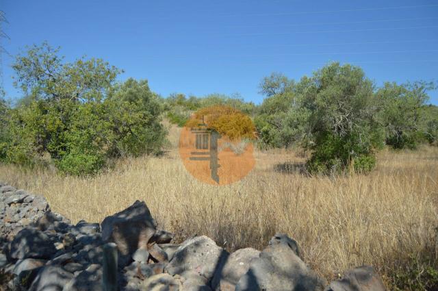 Land for sale in Santa Catarina da Fonte do Bispo