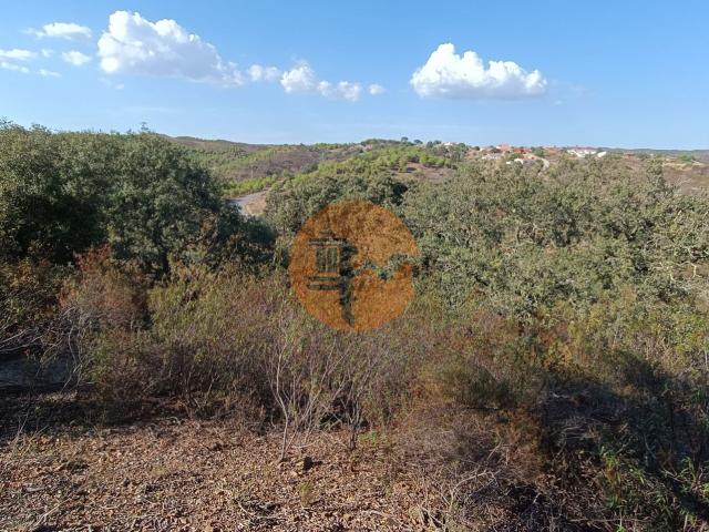 Land for sale in Azinhal