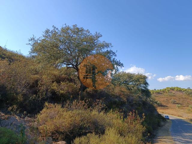 Land for sale in Azinhal