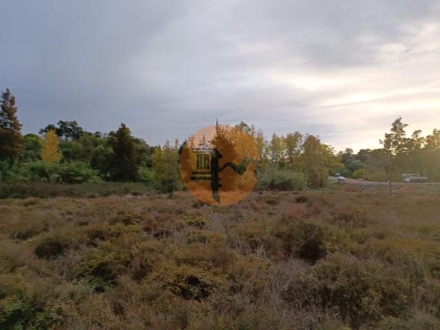 Land for sale in Castro Marim