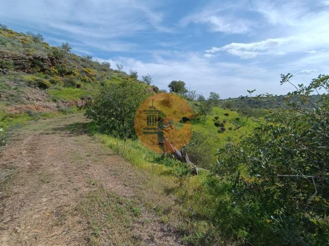 Land for sale in Castro Marim
