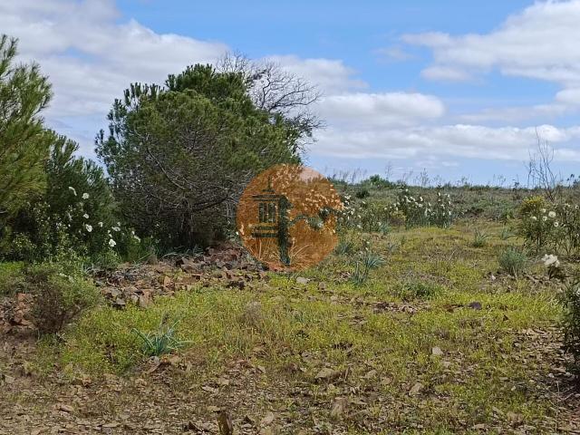 Land for sale in Azinhal