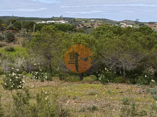 Land for sale in Azinhal