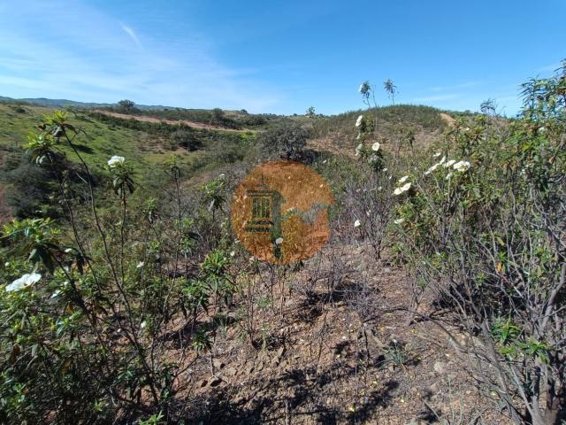 Land for sale in Odeleite